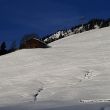 alpin_001.jpg
