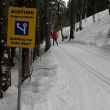 langlauf_030.jpg