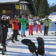 alpin_036.jpg