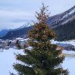 Galtuer_2024_004.JPG