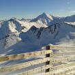 Galltuer_2018_CH_024.jpg