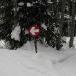 langlauf_028.jpg