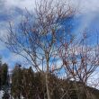 Nauders_LL_Wandern_037.JPG