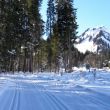 langlauf_010.jpg
