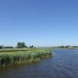 Akkrum_2019_052.jpg