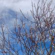 Nauders_LL_Wandern_036.JPG