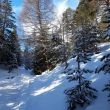 Nauders_LL_Wandern_040.JPG